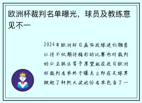 欧洲杯裁判名单曝光，球员及教练意见不一