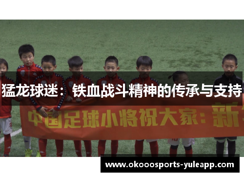 猛龙球迷：铁血战斗精神的传承与支持