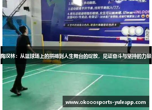 陶汉林：从篮球场上的拼搏到人生舞台的绽放，见证奋斗与坚持的力量